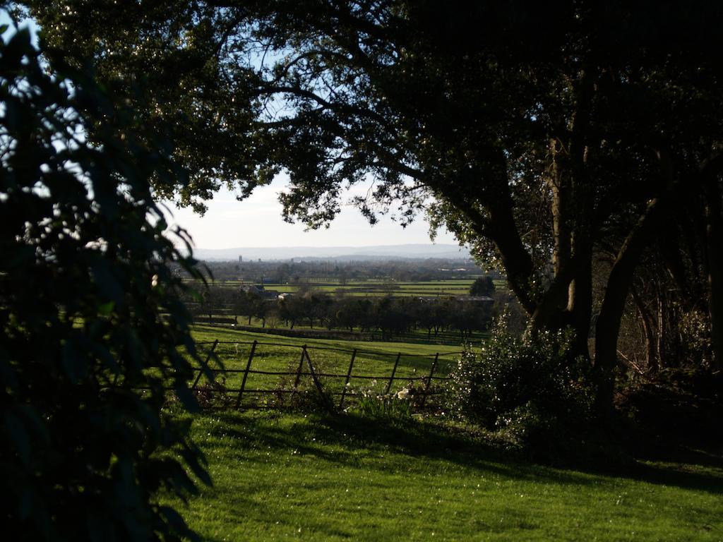 The Mount Somerset Тонтън Екстериор снимка